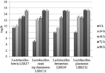 Figure 1. Concentration of viable cells of lactobacilli of sourdough at repeated daily kneading for 96 h.