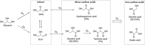 Figure 12. Reaction pathways for the catalytic oxidation of glycerol with O2.