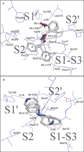 Figure 3.  Docking of (A) hydrazides and (B) hydrazine compounds in the substrate-binding cleft of Plasmepsin-II. Interactions of different enzyme sub-sites with inhibitors are shown. Hydrogen bonds are indicated as broken lines (distances in Angstrom). The two phenyl rings of Mr-I-179 are denoted as ‘A’ and ‘B’.