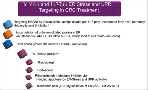 Figure 12. ER stress and UPR targeting strategies in in vitro and in vivo models for CRC therapy. All chemical compounds, drugs, and inhibitors have been introduced in the section “Therapeutic targeting of ER stress and the UPR.”