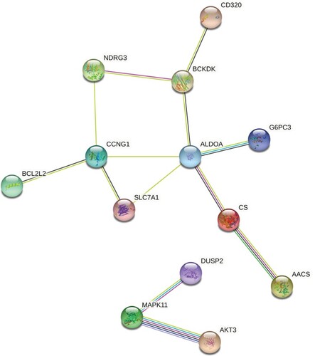 Figure 8. Hsa-miR-122 network analysis with experimentally observed targets.