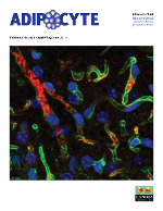 Cover image for Adipocyte, Volume 3, Issue 2, 2014