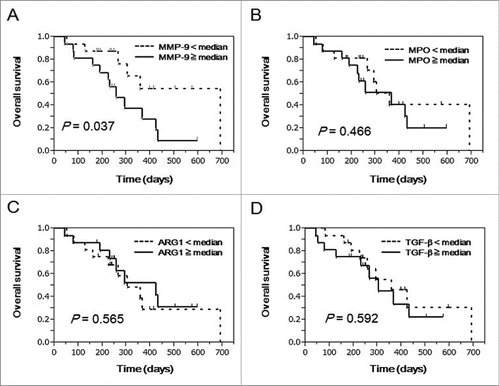 Figure 2. Prognostic significance of plasma MMP-9, MPO, ARG1, and TGFβ in advanced NSCLC patients treated with PPV. To examine the prognostic significance of MMP-9, MPO, ARG1, and TGFβ in pre-vaccination plasma from advanced NSCLC patients treated with PPV (n = 32), curves for OS were estimated by the Kaplan-Meier method, and differences between survival curves were statistically analyzed using the log-rank test. Censored patients are shown as vertical bars. Patients treated with PPV were divided into 2 subgroups according to the median values of plasma MMP-9 (A), MPO (B), ARG1 (C), and TGFβ (D).