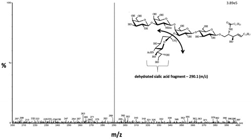 Figure 2. GM1 gangliosides (d36:1) product ion scan. Product ion scan (Q3 scan) showing the fragmentation of GM1 ganglioside (m/z 1545) resulting in the dehydrated sialic acid product ion (m/z 290.1).