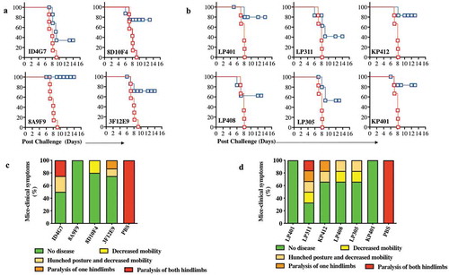 Figure 5. Characterization of ZIKV dMAb protection in vivo in mice from ZIKV.