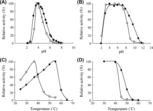 Fig. 4. Effect of NaCl on the pH–activity profile (A), the pH–stability (B), the temperature–activity profile (C), and the thermal stability (D) of PYG in the absence (○) and presence (●) of 300 mM NaCl.
