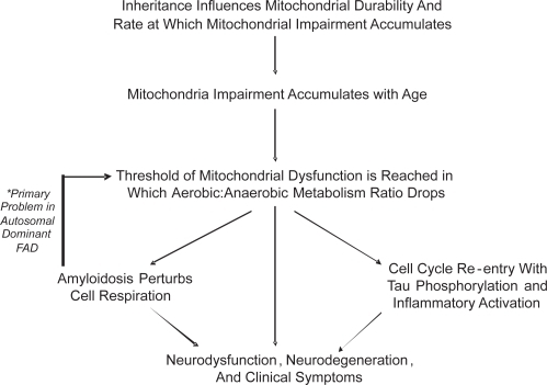 Figure 4 The mitochondrial cascade hypothesis.