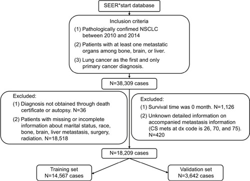 Figure 1 The flowchart of cases selection.Abbreviations: NSCLC, non-small-cell lung cancer; SEER, Surveillance, Epidemiology, and End Results