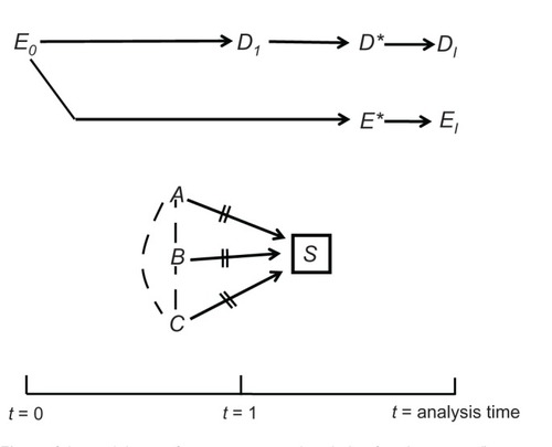Figure 4 A causal diagram for a cross-sectional study (confounders omitted).