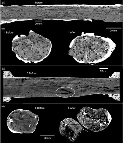 Figure 9. XRT images of fibre-plaster distribution and cracking using groups 1 and 5, taken both before and after testing (note: a group 5 image was used as group 4 was not imaged): (a) Group 1 longitudinal image before testing; (b) Group 1 cross-sections before and after testing; (c) Group 5 longitudinal image before testing; and (d) Group 5 cross-sections before and after testing.