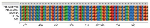 Figure 1 DNA alignments of penA from patient 45 wild-type and mutant alleles against three other wild-type Burkholderia pseudomallei strains – K96243, 1710b, and 668 – showing a cytosine/thymine nucleotide transition at position 517 (according to penA annotation in B. pseudomallei K96243).Citation22Note: This transition results in an amino acid substitution from proline to serine at position 167 in PenA.Abbreviation: P45, patient 45.