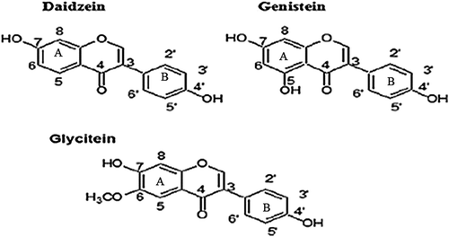 FIGURE 1 Structures of the primary isoflavones in soybean.[Citation245]