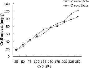 Figure 6. The effect of initial metal concentrations on the removal percentage of Cr(VI). C0 – initial Cr(VI) concentration (mg/L).