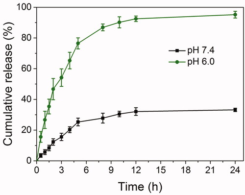 Figure 4. In vitro pH-triggered drug release performance of Spe@HNPs at pH 7.4 and 6.0. The data are shown as mean ± s.d. (n = 3 independent experiments).