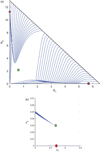 Figure 6. Trajectories of the system Equation(2) for k 1=0.8 and k 2=0.1 taken from the region R 2 of Figure 3 and the other parameter values are taken from Table 2. We observe the existence of two interior and two boundary equilibrium points among which one interior and one boundary equilibrium points are LAS. (b) An enlarged portion of (a).