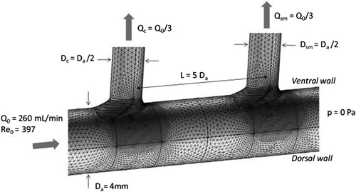 Figure 1. Geometry, mesh and boundary conditions used for the base case simulations. Note that separation L between branches and the flow Reynolds number are parameters of the study.