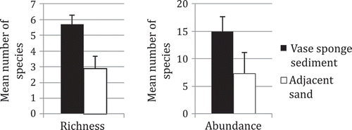 Figure 2. Mean species richness (± S.E.) and abundance (±S.E.) of polychatea fauna in sediments of vase sponges and adjacent sand areas.