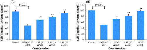 Figure 4. Percent cell viability by (A) MTT and (B) NRU assay in HepG2. HepG2 were exposed to increasing concentrations of LSE for 24 h. Then, cells were exposed to H2O2 (0.25 mM) for 24 h. Values are mean ± SE of three independent experiments. *p < 0.05, **p < 0.01 versus H2O2 exposure.