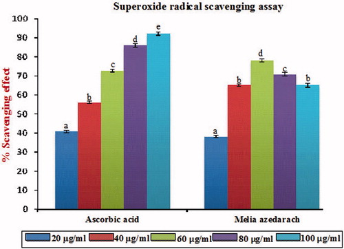 Figure 3. Superoxide radical scavenging effect of MA with different concentrations in comparison with standard ascorbic acid. Values are given as mean ± SD of six replicates in each group. Bar values are sharing a common superscript (a,b,c) differ significantly at p < 0.05 DMRT.