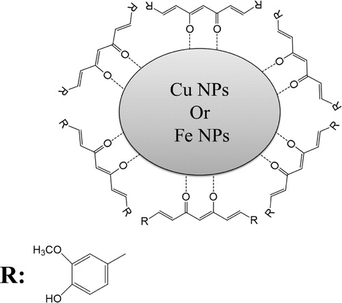 Figure 8. The interaction of curcumin with the nanoparticles.