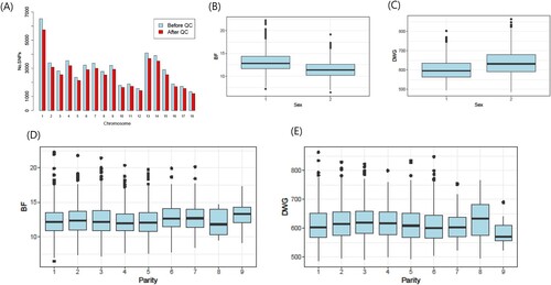 Figure 1. (A) Bar plot of the number of SNPs before and after quality control (QC) across autosomes. (B, C) Box plot of backfat thickness (BF) and daily weight gain (DWG) according to sex. (D, E) Box plot according to parity.