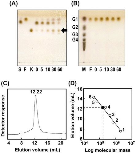 Figure 1. Enzymatic properties of AkFFase.