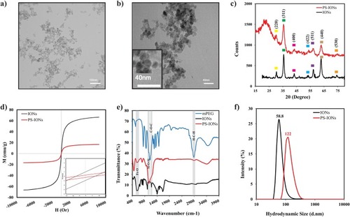 Figure 1 (a, b) TEM images of PS-IONs (scale bars are 150 nm and 40 nm, respectively). (c) XRD patterns [the yellow, green, pink, blue, violet, light brown and orange squares relate to (220), (311), (400), (422), (511), (440) and (530) planes of the spinel structure of magnetite, respectively], (d) hysteresis loops, (e) FT-IR spectra, and (f) DLS particles size distribution profiles of IONs (black line) and PS-IONs (red line).