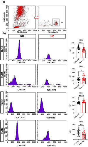 Figure 5 The protein expression of toll-like receptors in herpes zoster patients (HZ) and control groups (NC). The Flow cytometry method to detected TLRs (a) and TLRs expression in HZ patients and healthy control (b). Data were presented as mean±SD and the significance was analyzed by Student’s t-test, *P<0.05, **P<0.01, ****P<0.0001.