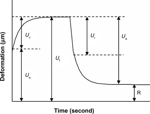 Figure 2 Skin deformation curve obtained with a cutometer depicting the immediate deformation or skin extensibility (Ue), delayed distension (Uv), final deformation (Uf), immediate retraction (Ur), total recovery (Ua), and residual deformation at the end of the measuring cycle (R).