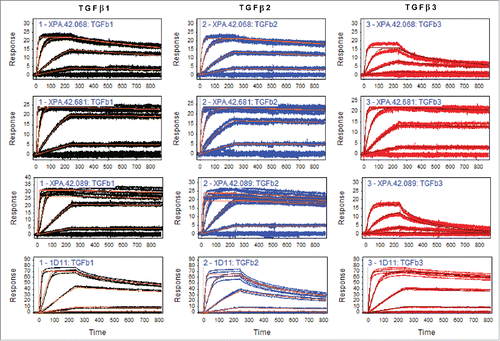 Figure 4. Antibody Affinity Using Immobilized IgG Method. Antibodies were immobilized on a CM5 sensor chip of a Biacore 2000 via amine chemistry. TGFβ was injected at 10 nM, 2 nM, 0.4 nM, and 0.08 nM. Data were analyzed for binding rate parameters using the Scrubber software after double referencing.