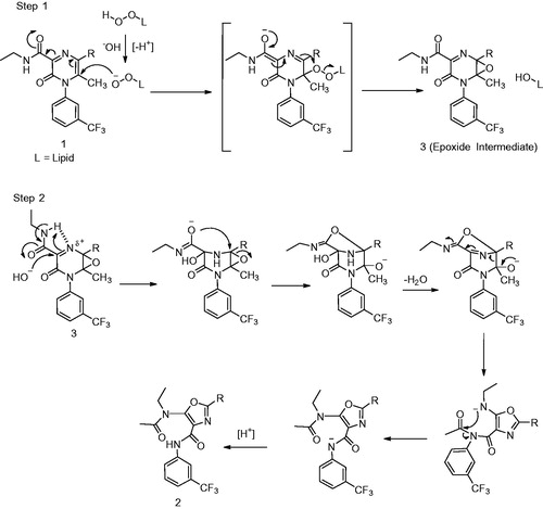 Figure 5. Step 1: Mechanism of oxidation of 1 to the epoxide (3). Step 2: Rearrangement of epoxide (3) to the corresponding oxazole 2 (Gu et al., Citation2015).