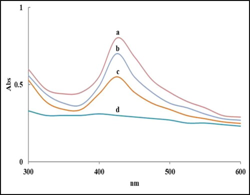 Figure 3. UV–visible absorption spectra of AgNPs biosynthesized by A. alternata PNU71 (a), A. chlamydospora PNU09 (b); A. solani PNU11 (c); A. alternata PNU75 non-producing AgNPs (d).