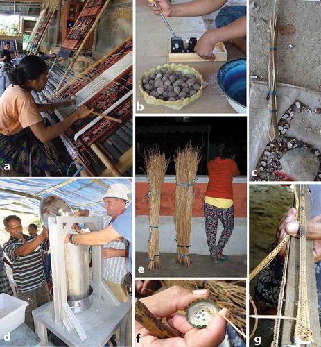 Figure 4. Use of appropriate technologies to add value to natural resource-based enterprises. (a). A loom used to weave traditional textiles. (b). Testing a macadamia nut-cracker developed in Australia for cracking candlenuts (from Aleurites moluccana). (c). The traditional method of cracking candlenuts, using a tool made from a strip of Areca catechu palm spathe. (d). Using a seed-oil extraction press at a village in West Timor (press built in Java for this project). (e). Stems of the climbing fern Lygodium circinnatum. (f). A bottle top with holes: the local technology to trim fern stems L. circinnatum strips a consistent diameter for a high-quality end product. (g). A wooden frame for weaving complex straps for exported L. circinnatum baskets. Photos: A.B. Cunningham (A–D, F, G) and (h). Cunningham (E).