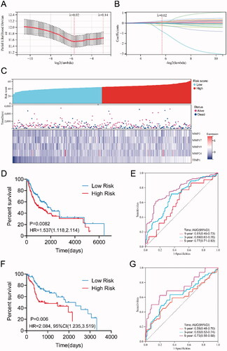 Figure 4. Construction of the prognostic risk prediction model based on the expression level of MMPs/TIMPs. (A) λ selection by 10-fold cross-validation. Continuous upright lines are partial likelihood deviance ± SE; dotted lines are depicted at the optimal values by minimum criteria (lambda.min, left vertical dotted line) and 1-SE criteria (lambda.1se, right vertical dotted line). The partial likelihood deviance with changing of log (λ) was plotted. The value was 0.02 chosen for λ by 10‑fold cross‑validation with the minimum criteria; (B) processes of LASSO Cox model fitting. Each curve represents a gene; (C) the distributions of the risk score and heatmap of eight mRNA expression profiles of HNSCC patients in training set, which are ranked by risk score; (D) Kaplan–Meier curve of overall survival probability for patients with HNSCC from training set divided into high- and low-risk groups based on the risk score of five-mRNA signature; (E) receiver operating characteristic curve (ROC) of the risk score for predicting 1-year, 3-year, and 5-year survival rate in training set; (F) Kaplan–Meier curve of overall survival probability for patients with HNSCC from validation set divided into high- and low-risk groups based on the risk score; (G) receiver operating characteristic curve (ROC) of the risk score for predicting 1-year, 3-year, and 5-year survival rate in validation set.