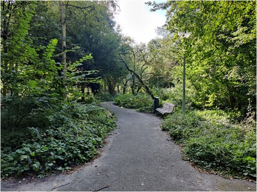 Figure 1. One of the several benches hidden away in the Molenwijk’s green areas (Photo by first author).