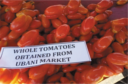Plate 1: Ubani fresh tomatoes.