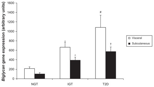 Figure 2A Analysis of biglycan gene expression in P. obesus visceral and subcutaneous adipose tissue.