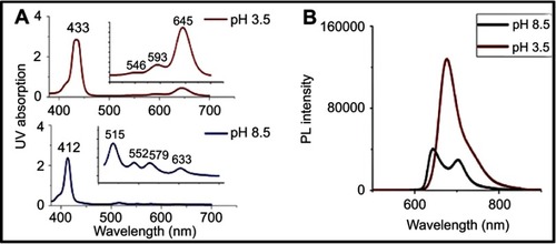 Figure 4 Effect of pH on (A) UV absorption and (B) Photoluminescence  (PL) emissions of TPPS4.