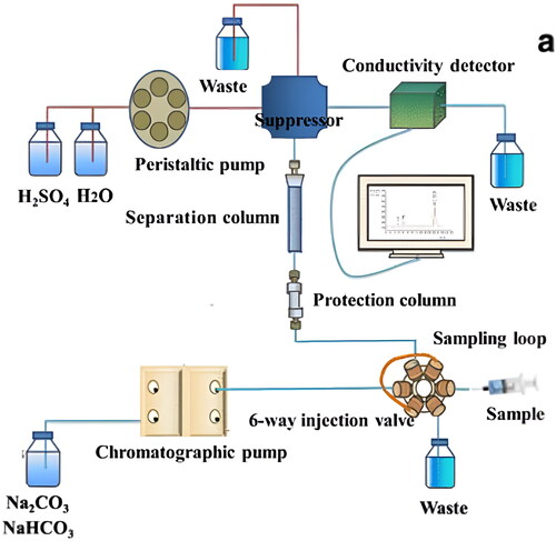 Figure 10. Schematic diagram of ion chromatography analysis.[Citation64]