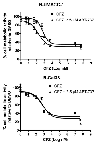 Figure 10. ABT-737 enhances the sensitivity of R-UMSCC-1, but not R-Cal33, to CFZ. R-UMSCC-1 and R-Cal33 cells were plated in triplicate wells in 96-well plates (5000 cells/well). Cells were treated for 48 h with varying concentrations of CFZ in the absence or presence of ABT-737 (2.5 μM). Cell viabilities were determined by MTT assays.