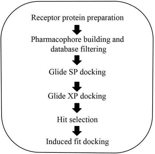 Figure 2. Schematic workflow of VS and docking of SopE.