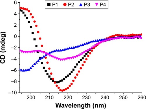 Figure 4 Secondary structures of the designed peptides 1–4 (0.125 mg/mL) in Milli-Q water.Notes: CD spectra of peptides 1–4 were recorded at room temperature. The CD spectrum of P2 shows a typical β-sheet conformation, whereas P1 and P3 display unordered structures. With regard to P4, the CD spectrum ranging from 200 to 220 nm reflects the coexistence of β-sheets and unordered structures.Abbreviations: CD, circular dichroism; P1, RADAGVGVRADAGVGV; P2, RLDLGVGVRLDLGVGV; P3, RARAGVGVDADAGVGV; P4, RLRLGVGVDL-DLGVGV.