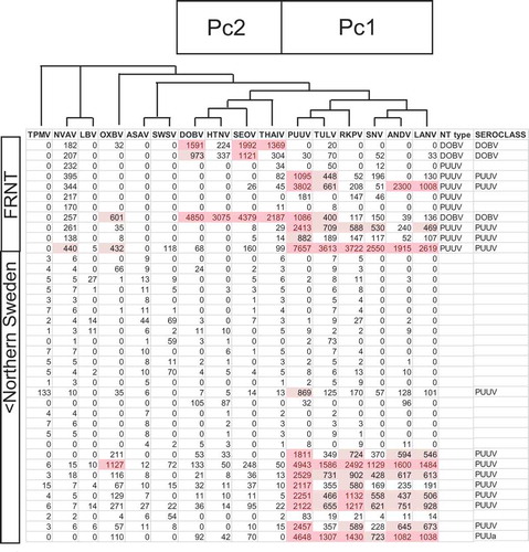 Figure 2. Part of the total result table. Each row represents one serum. The first 11 rows are from the FRNT collection, the subsequent 28 are a portion from the North Swedish collection (totally 104). Megapeptides (heading) and their results (MFI) are arranged in phylogenetic order, according to a dendrogram based on megapeptide protein similarity obtained after Muscle alignment at the European Bioinformatics Centre (EBC) home page. The megapeptide components which contributed most to principal components 1 and 2, ‘Pc1’ and ‘Pc2’, respectively are also indicated. Results were automatically classified (shown in column ‘seroclass’) as described in the text. All results are averages of two determinations and subtracted with the MFI of the ‘naked’ bead. MFI values higher than 400 MFI and 1000 MFI have been highlighted, in a graded fashion. Nova peptide reactions were relatively strong in the FRNT sera. We assume this was due to heat inactivation.