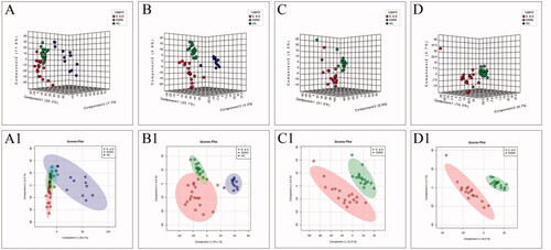 Figure 2. The score plots of PLS-DA model in positive-ion mode (A, C) and negative-ion mode (B, D); A(A1) and B(B1) show health controls, ESRD patients without depression and ESRD patients with depression; C(C1) and D(D1) show ESRD patients without depression and ESRD patients with depression.