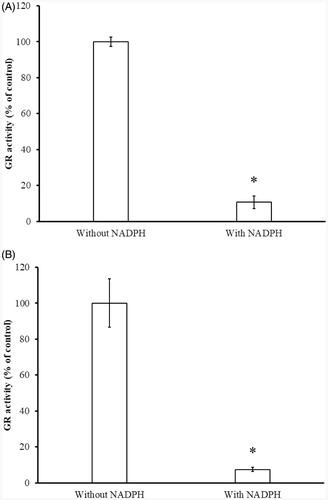 Figure 7. Determination of NADPH-dependent GR inhibition by BITC (A) and PEITC (B). The yGR (1.5 U/mL) was incubated with 0.2 mM BITC or PEITC in the absence or presence of 0.2 mM NADPH in PE buffer at room temperature for 2 h. An aliquot was withdrawn and the remaining GR activity analysed as described in Material and Methods. The results are presented as the means ± SD of three independent experiments. *p < 0.001 versus control group.