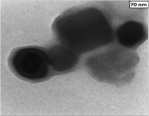 Figure 4. TEM image of ZnO@SiO2.