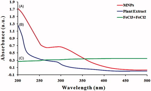 Figure 3. UV/Vis absorption spectra. (A) Phyto-redaction to iron oxide magnetic nanoparticles after reaction with aqueous leaf extract of Albizia adianthifolia. (B) Aqueous leaf extract of A. adianthifolia. (C) FeCl3·6H2O and FeCl2·4H2O only.