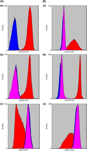 Figure 3. FACS of native and ECO RBCs. The x-axis represents the fluorescence intensity on a logarithmic scale whereas the y-axis shows the number of RBCs evaluated. Red color represents native RBCs; blue color represents enzyme-treated RBCs; pink color represents O-RBCs. A-a,B-a: A1B-RBCs, A2B-RBCs and A1B, A2B -ECORBCs were labeled by anti-A antibody, A antigen epitopes were detected in A1B and A2B –RBCs, but not found in A1B and A2B –ECORBCs and O-RBCs. A-b,B-b: A1B-RBCs, A2B-RBCs and A1B, A2B -ECORBCs were labeled by anti-B antibody, B antigen epitopes were detected in A1B and A2B –RBCs, but not found in A1B and A2B –ECORBCs and O-RBCs. A-c,B-c: A1B-RBCs,A2B-RBCs and A1B, A2B -ECORBCs were labeled by UEA1, H antigen epitopes were detected in A1B, A2B -RBCs, A1B, A2B –ECORBCs and O-RBCs.