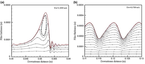 Fig. 8 The distribution of liquid film with a fluctuation at the absorber solution entrance (Bo et al. Citation2012).