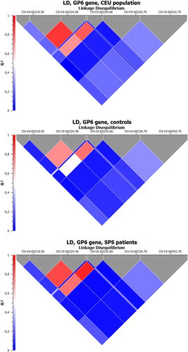 Figure 1. Relationships between genotyped markers block in CEU HapMap population, SPS patients and the control group (LD plots).